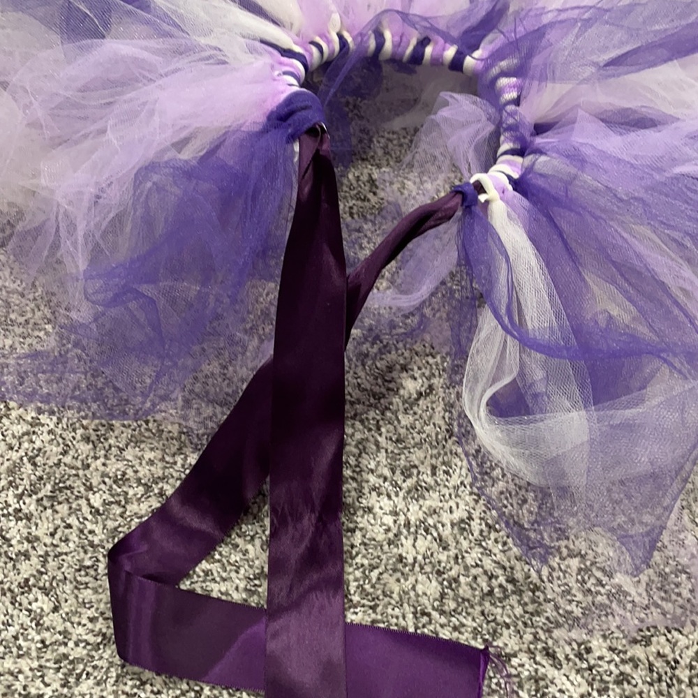 Matching tutus - Picture 3 of 4